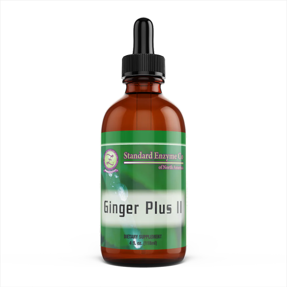 GINGER PLUS II 4 OZ