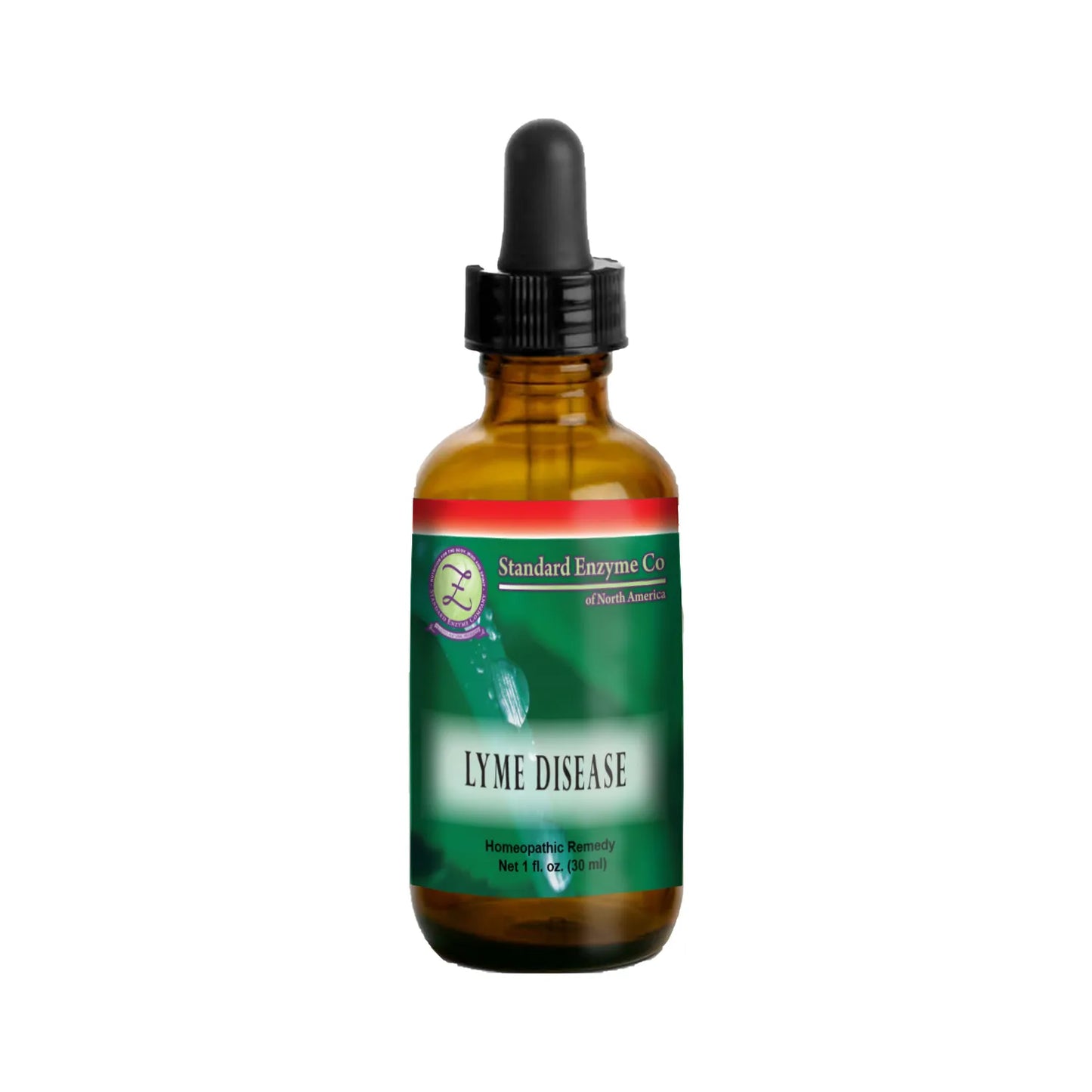 LYME DISEASE
