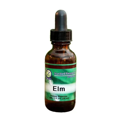 ELM