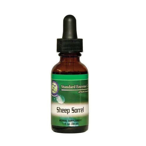 SHEEP SORREL