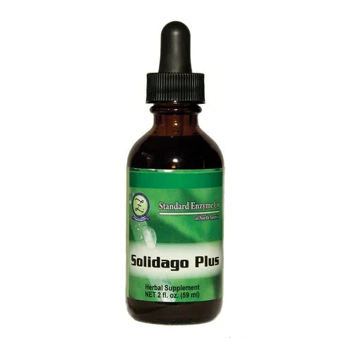 SOLIDAGO PLUS